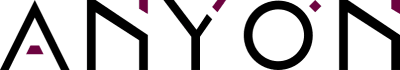 Anyon Systems logo