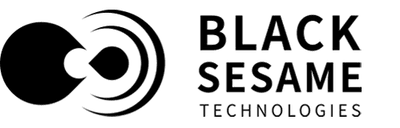 Black Sesame Technologies logo