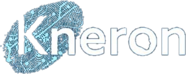 Kneron logo