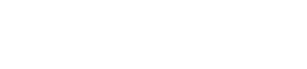 LightSolver logo
