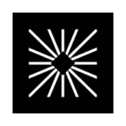 Salience Labs logo